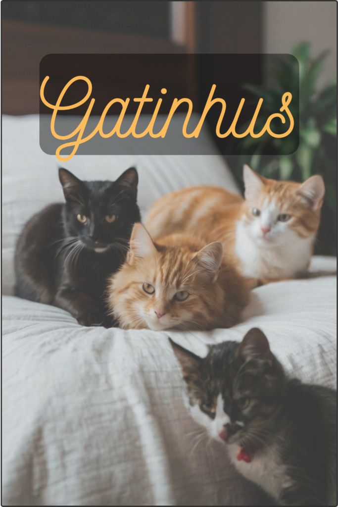 gatinhos fofos